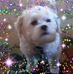 Mary Ellinger Poupore - Facebook