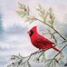 Mary Engleman - Facebook