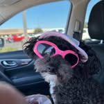 Mary Engleman - @beinoktoo - Instagram