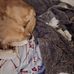 Marie Engman - Facebook