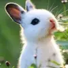 Mary Enos961 - @maryenos961 - TikTok