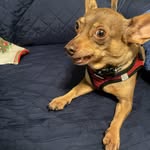 Mary Margaret Enos - @marymargaretenos - Instagram