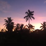 Mamacoco - @ensor_mary.12 - Instagram