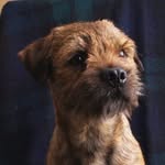 Mary Beth Ensor - @mary.b.ensor.1 - Instagram