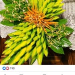 unknown - @mary_ensor12 - Instagram