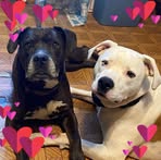 Mary Epperly - Facebook