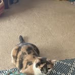 Mary Epperly - Facebook