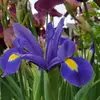 Mary Herrington781 - @maryherrington781 - TikTok