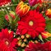 Mary Jo Errington - Facebook