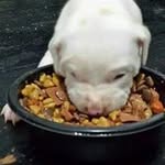 Mary Eshbach - @maryeshbach - Instagram