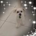 Mary Esmonde - Facebook