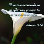Mary Espinal - Facebook