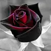 maryessman309 - @maryessman309 - TikTok