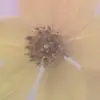 maryestel - @maryestel - TikTok