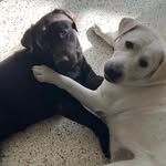 Mary Margaret Estill - @mmestill - Instagram