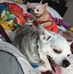 Mary Evers - Facebook