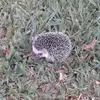 Mary Evers Marurli - @mary.evers.marurl - TikTok