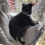 Maryeverson - @maryeverson8 - Instagram