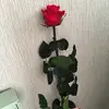 Mary Evrard - @mryevd - TikTok