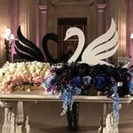 Mary Ewart - @mcew.art415 - Instagram