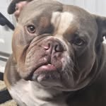 Mary Ewles - @puppy_monkey_baby1967 - Instagram