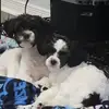 maryewles297 - @maryewles297 - TikTok