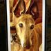 Mary Ezzell - Facebook