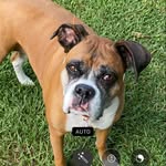 Mary Jane McNemar Fabre - @maryjanefabre - Instagram