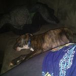 Mary - @mary.fallin.71 - Instagram