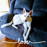 Mary Farabaugh - @mary.farabaugh.7 - Instagram