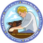 Mary Farren - @whatanicedog - Instagram