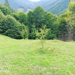 Mary Fedak - @mary_fadak22 - Instagram