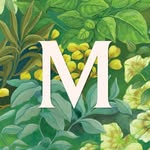 Mary Fedele - @maryfedele_gardens - Instagram