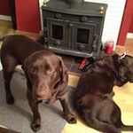 Mary Fegan - @fegan.mary - Instagram
