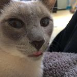 Mary Fegan - @feganmary - Instagram