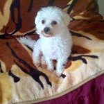 Mary Franklin Fegan - @franklinfegan - Instagram