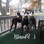 Mary Fenstermaker - @mary.fenstermaker.52 - Instagram