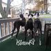 Mary Fenstermaker - Facebook