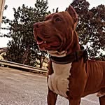 Mary Ferrante - @mary.ferrante67 - Instagram