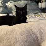 Mary Fields - Facebook