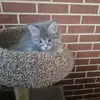 mary fields - @mary.fields70 - TikTok