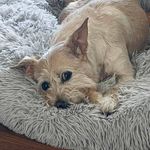 Mary Ann Flavin - @medic61799 - Instagram