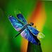 Mary Fly - Facebook