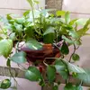 Mary fontes - @mary.fontes2 - TikTok