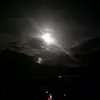 Mary Fore - @mary.fore8 - TikTok