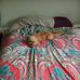 Mary Watkins Franson - Facebook