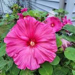 Mary Fredrick - @mary.fredrick.9210 - Instagram