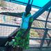 Mary Fredrick - Facebook