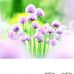Maria Fredrickson - Facebook