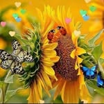 mary_fuscaldo - @mary_fuscaldo70 - Instagram